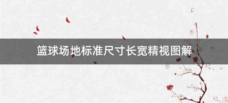 篮球场地标准尺寸长宽精视图解