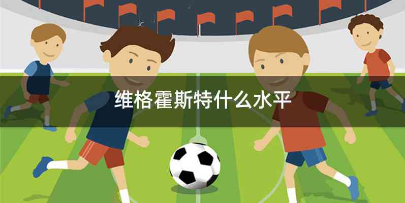 维格霍斯特什么水平