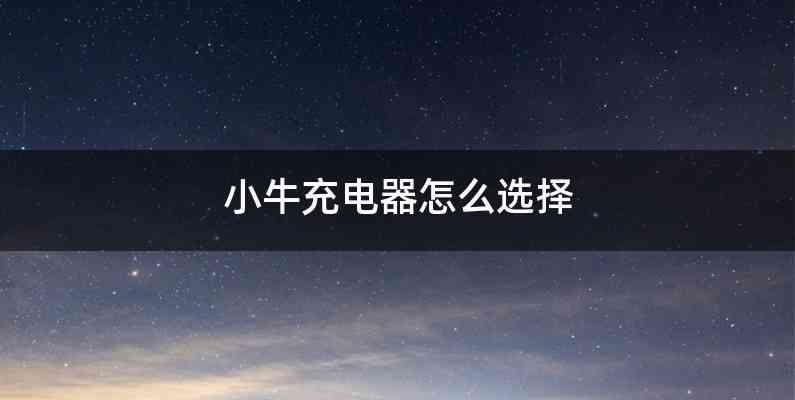 小牛充电器怎么选择