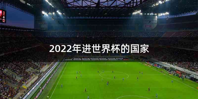 2022年进世界杯的国家