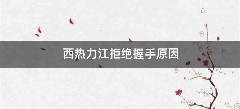 西热力江拒绝握手原因