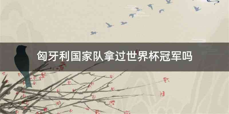 匈牙利国家队拿过世界杯冠军吗