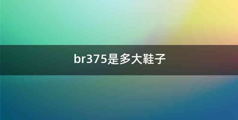 br375是多大鞋子
