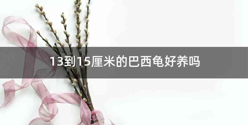 13到15厘米的巴西龟好养吗