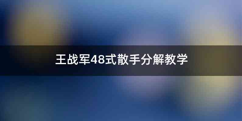 王战军48式散手分解教学