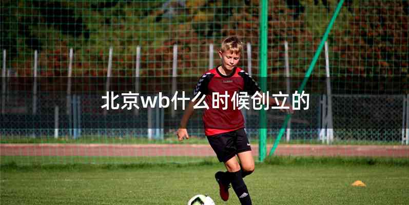 北京wb什么时候创立的