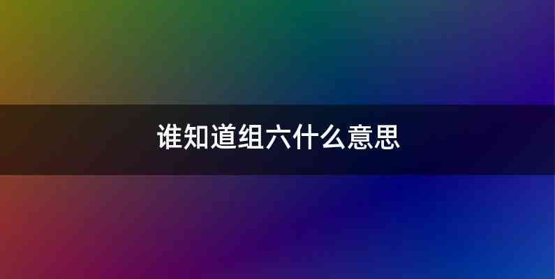 谁知道组六什么意思