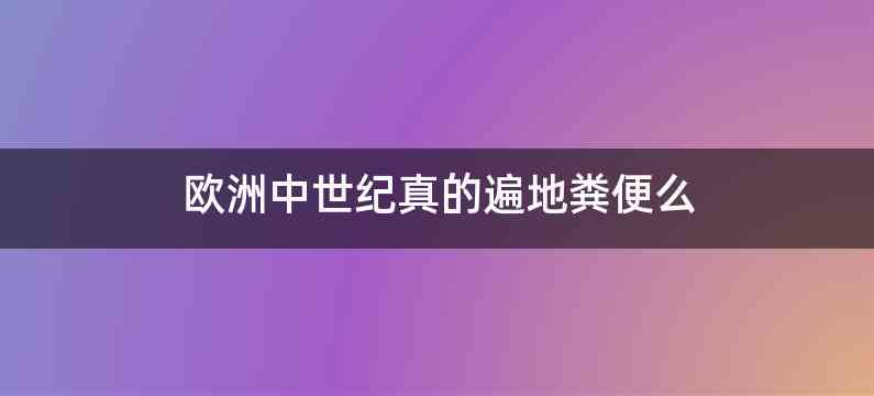 欧洲中世纪真的遍地粪便么