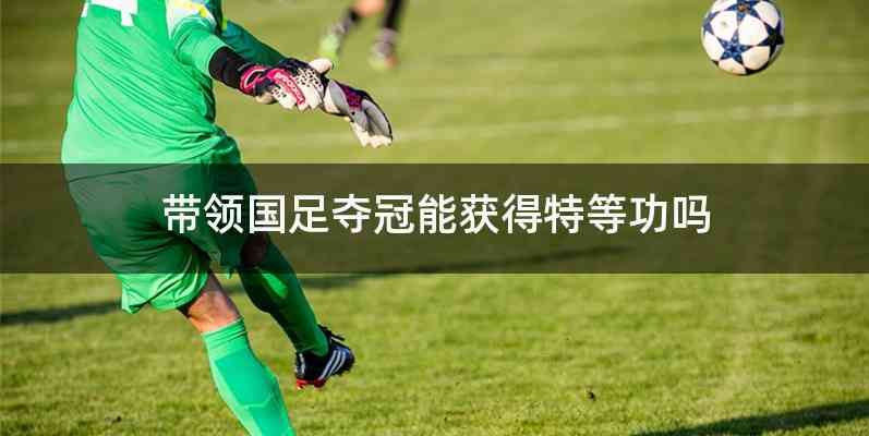 带领国足夺冠能获得特等功吗