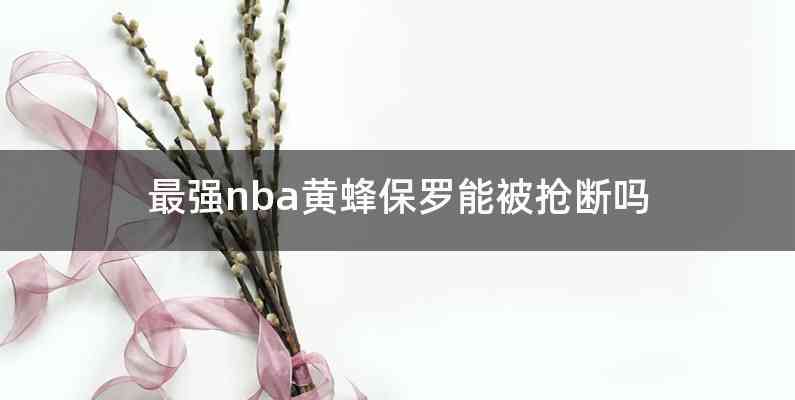 最强nba黄蜂保罗能被抢断吗
