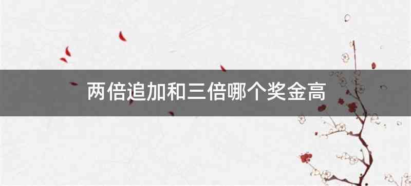 两倍追加和三倍哪个奖金高