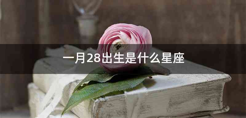 一月28出生是什么星座