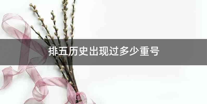 排五历史出现过多少重号