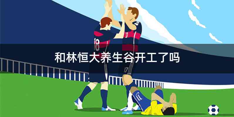 和林恒大养生谷开工了吗