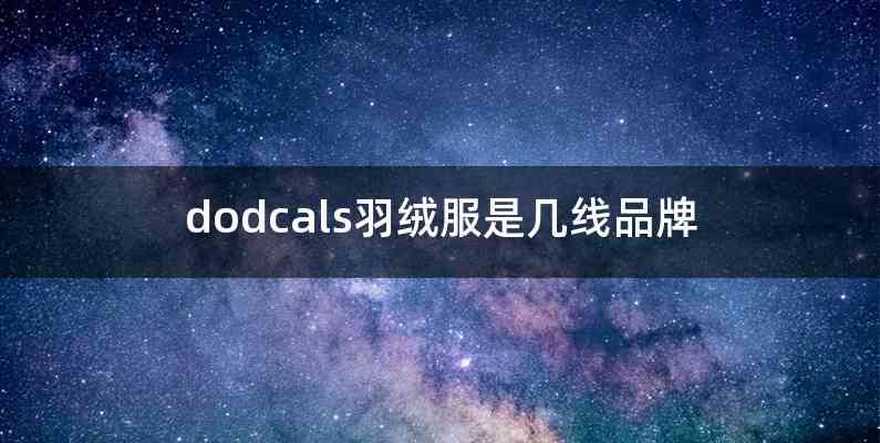 dodcals羽绒服是几线品牌