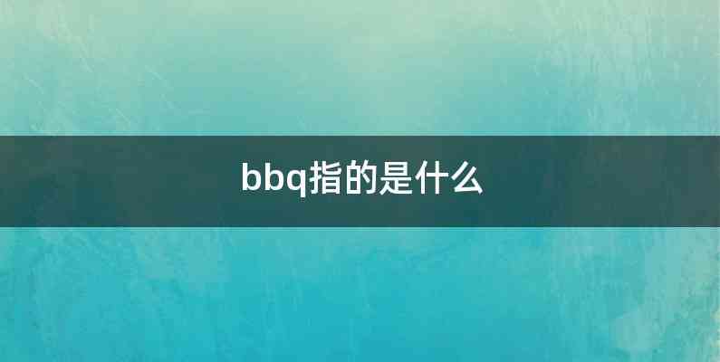 bbq指的是什么