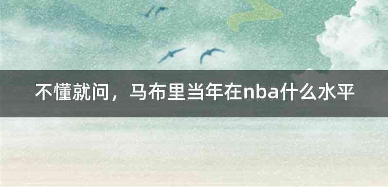 不懂就问，马布里当年在nba什么水平