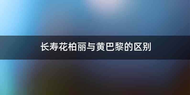 长寿花柏丽与黄巴黎的区别