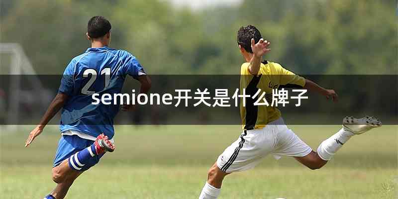 semione开关是什么牌子