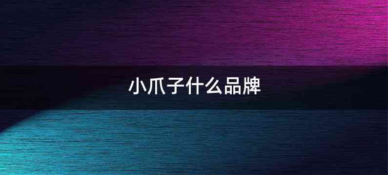 小爪子什么品牌