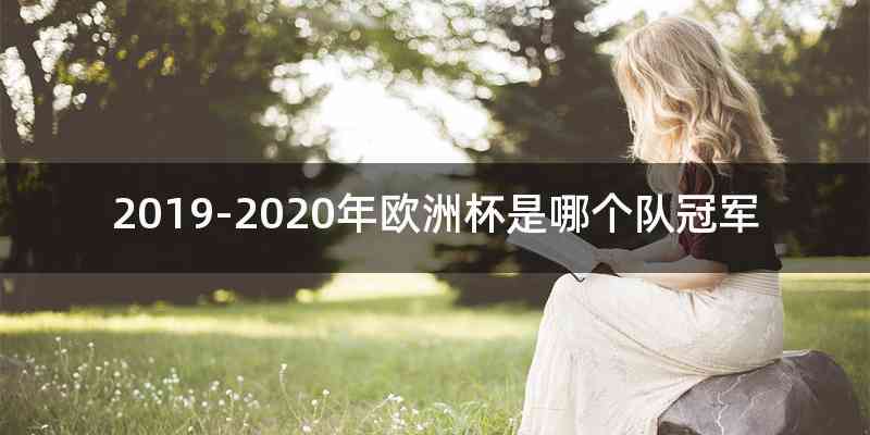 2019-2020年欧洲杯是哪个队冠军