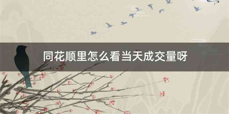 同花顺里怎么看当天成交量呀