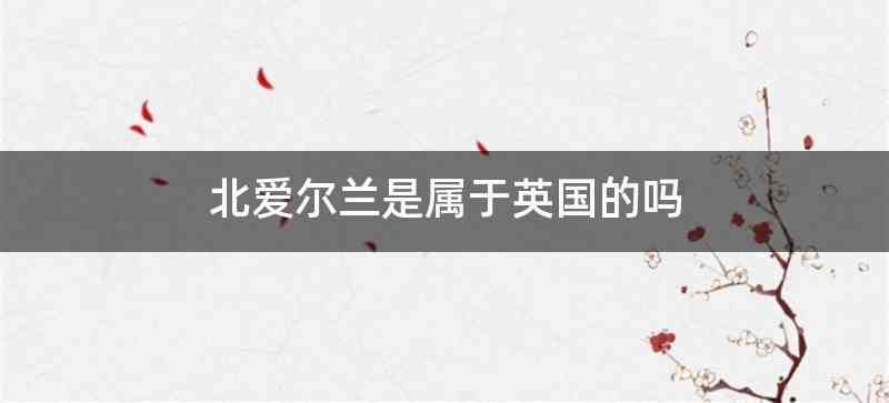 北爱尔兰是属于英国的吗