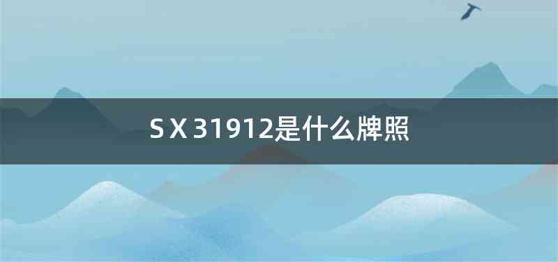 SⅩ31912是什么牌照
