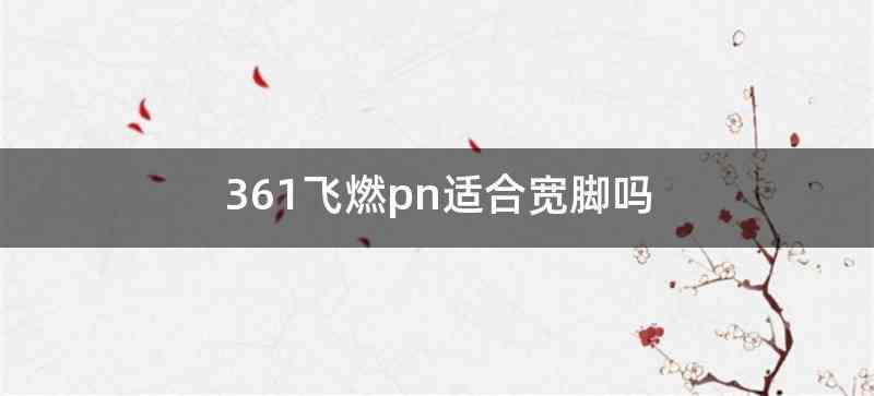 361飞燃pn适合宽脚吗