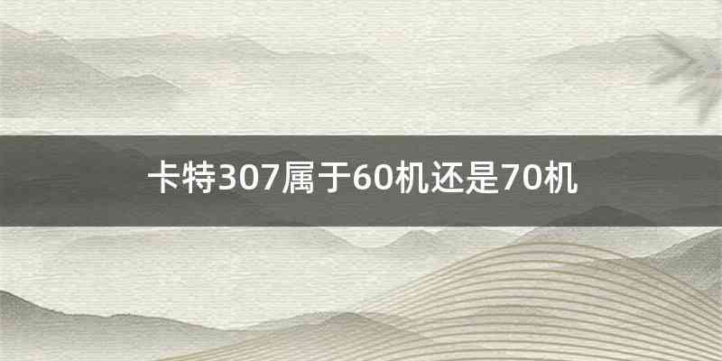 卡特307属于60机还是70机