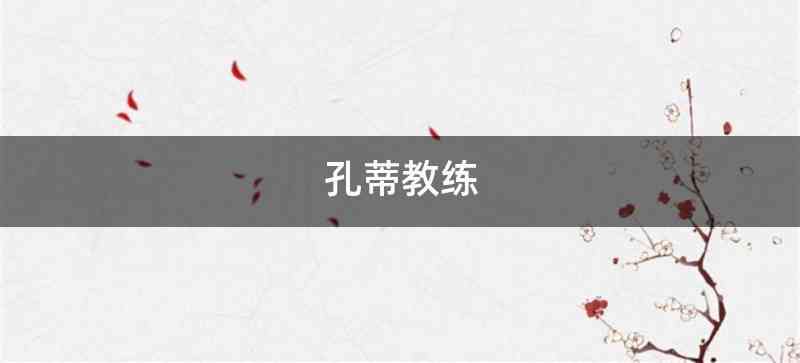 孔蒂教练