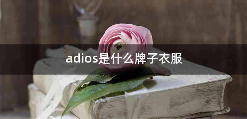 adios是什么牌子衣服