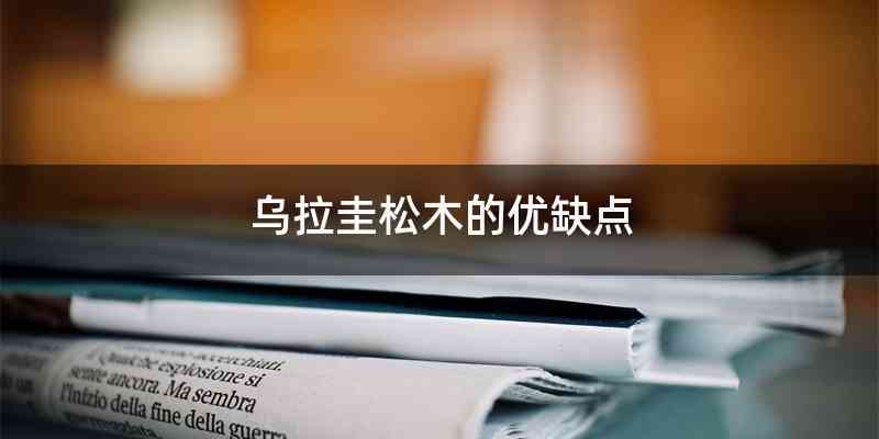 乌拉圭松木的优缺点