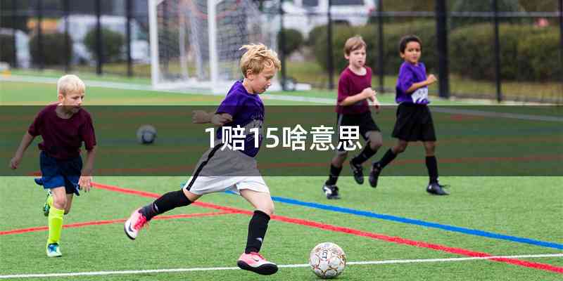 1赔15啥意思