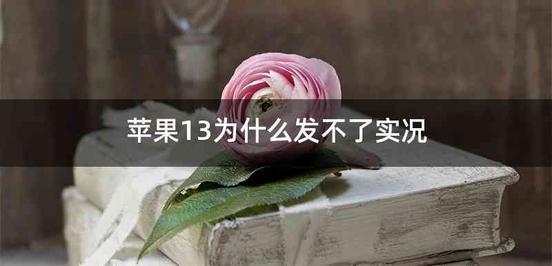 苹果13为什么发不了实况
