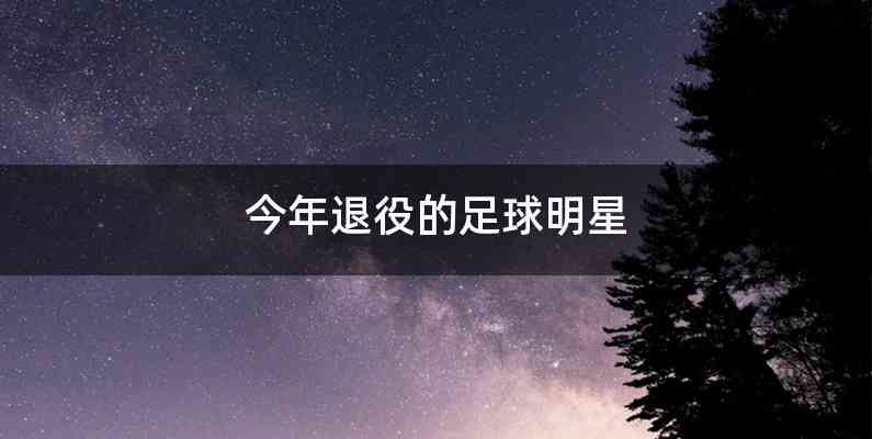 今年退役的足球明星
