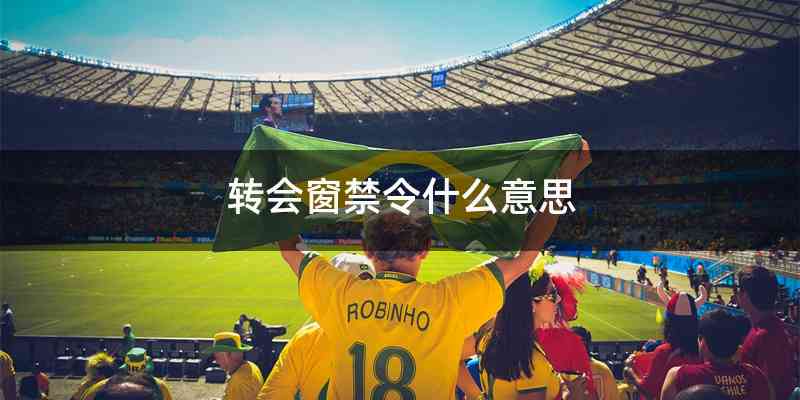 转会窗禁令什么意思