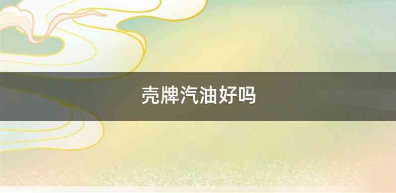 壳牌汽油好吗