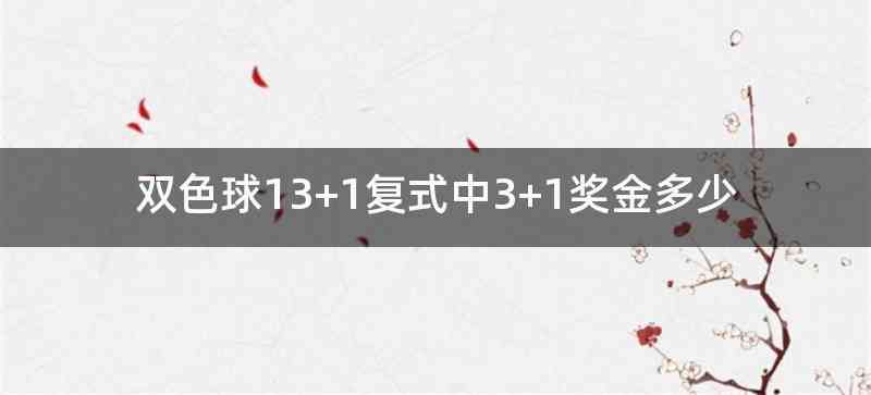 双色球13+1复式中3+1奖金多少