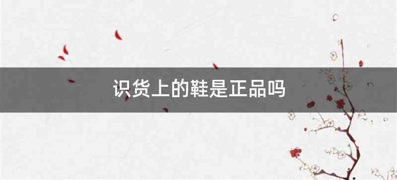 识货上的鞋是正品吗