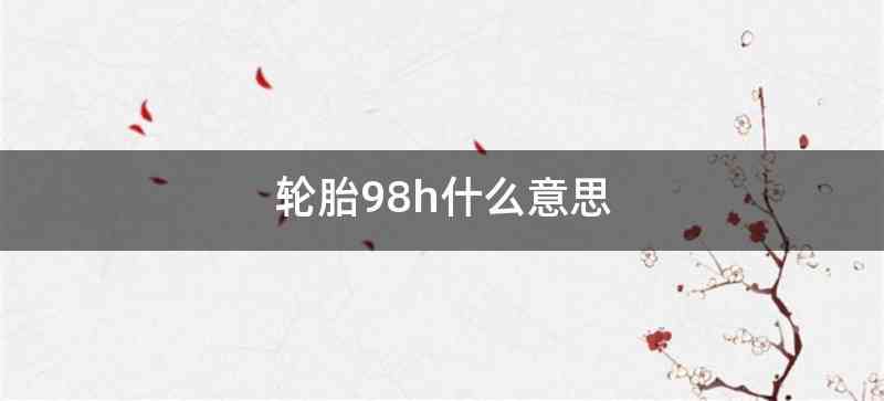 轮胎98h什么意思