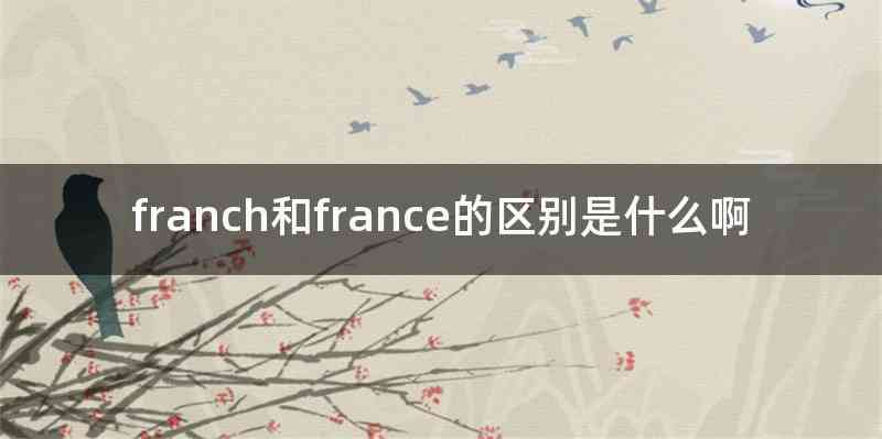 franch和france的区别是什么啊