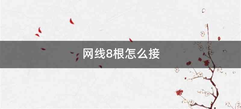 网线8根怎么接