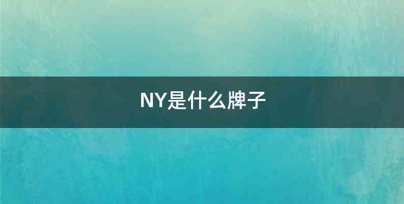 NY是什么牌子