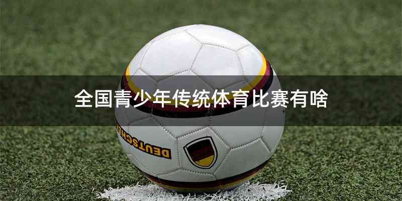 全国青少年传统体育比赛有啥