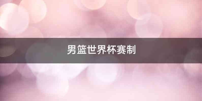 男篮世界杯赛制