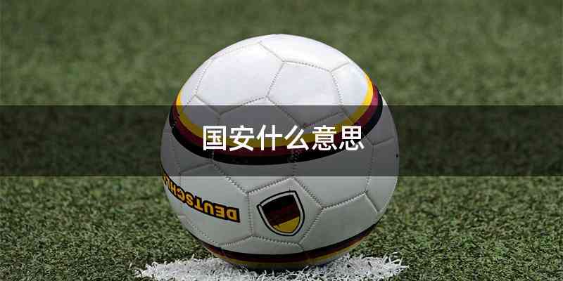 国安什么意思