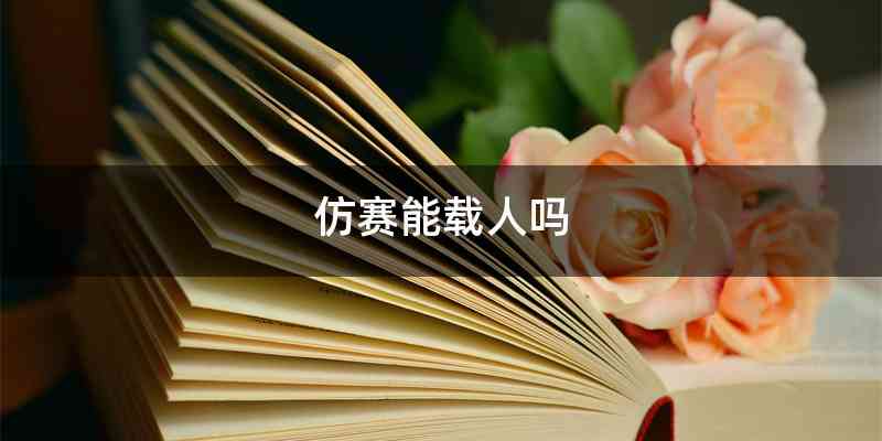 仿赛能载人吗