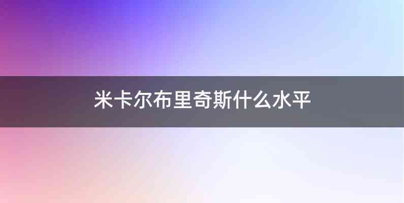 米卡尔布里奇斯什么水平