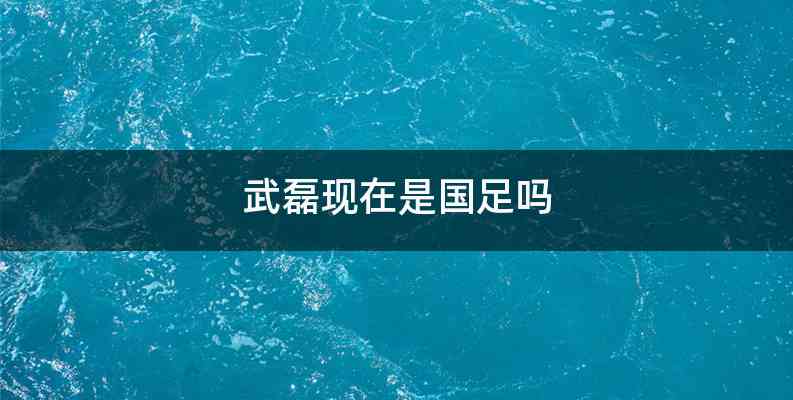 武磊现在是国足吗